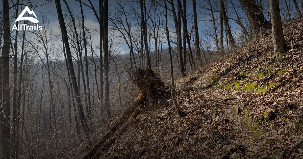 Best trails in Tar Hollow State Park, Ohio AllTrails