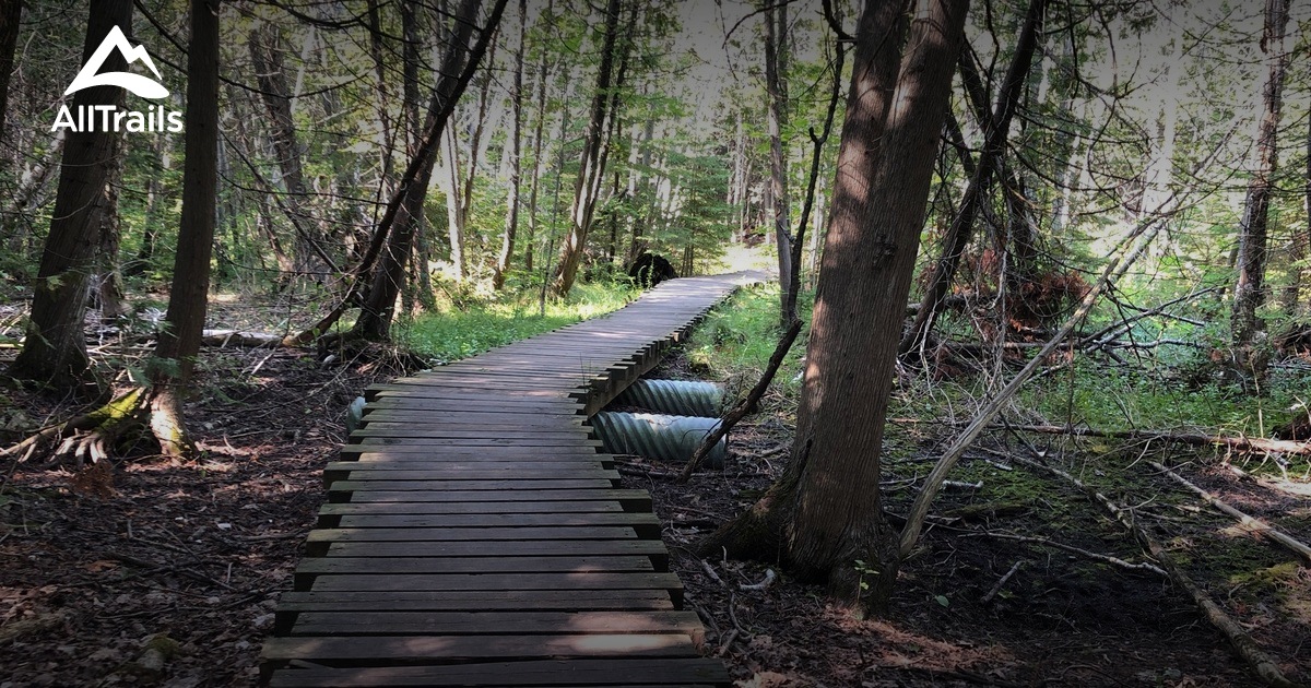 Best Hikes And Trails In Straits State Park | AllTrails