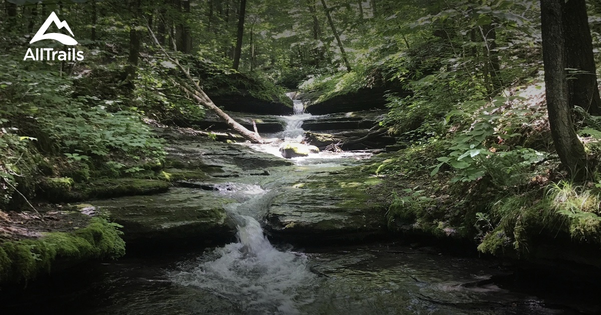 Best Hikes and Trails in Pixley Falls State Park AllTrails