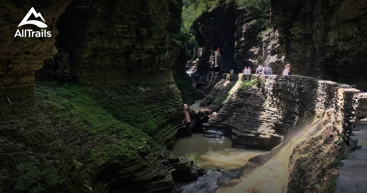 Are Dogs Allowed In Watkins Glen State Park Trails