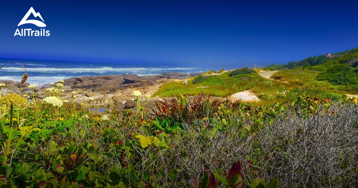 Best Hikes and Trails in Yachats Ocean Road State Natural Site AllTrails