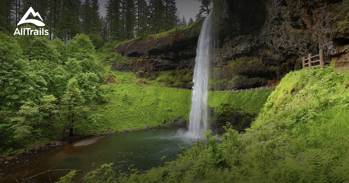 best trails in silver falls state park oregon alltrails