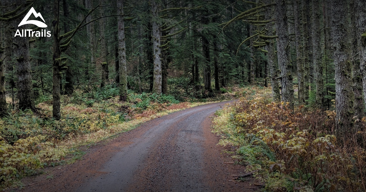 Best Hikes and Trails in Ainsworth State Park AllTrails