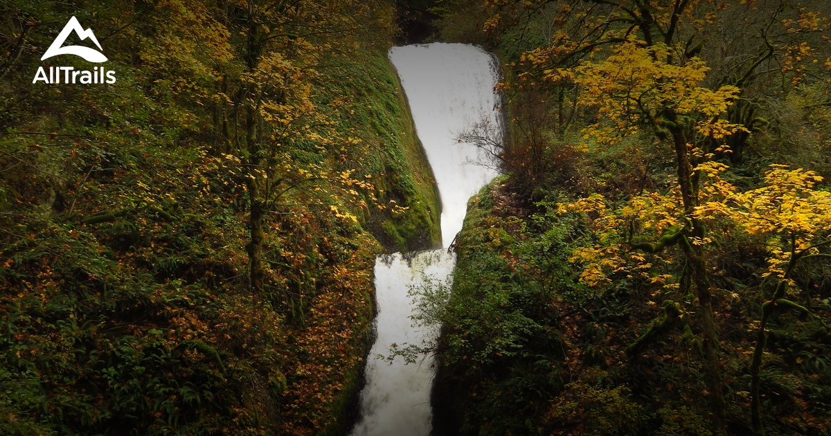 Best Hikes and Trails in Bridal Veil Falls State Scenic Viewpoint