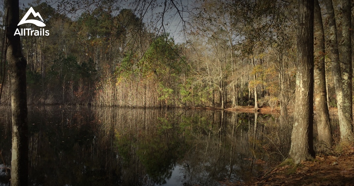 Best Trails In Santee State Park South Carolina Alltrails