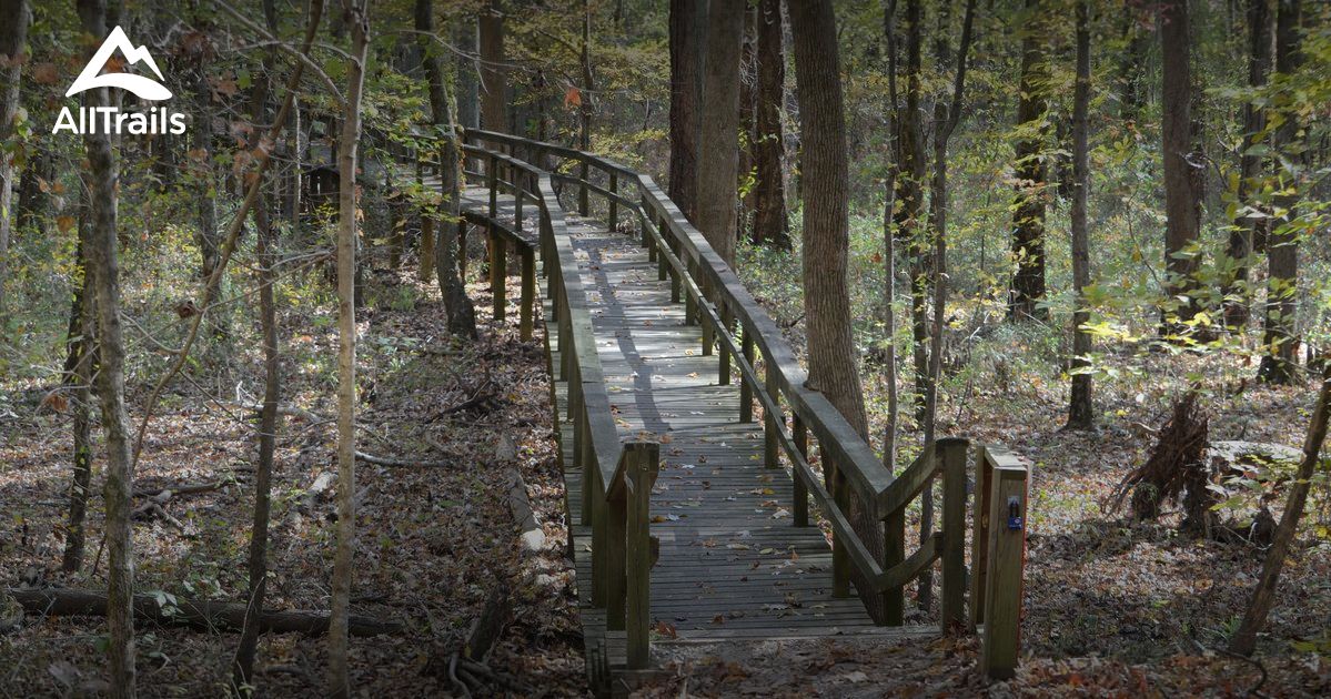 Best Trails in Pinson Mounds State Archaeological Park Tennessee