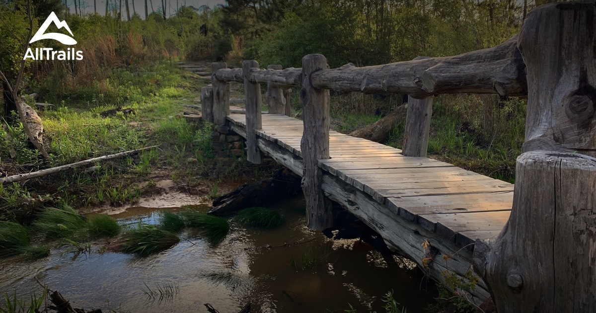 Best Trails in Bastrop State Park - Texas  AllTrails