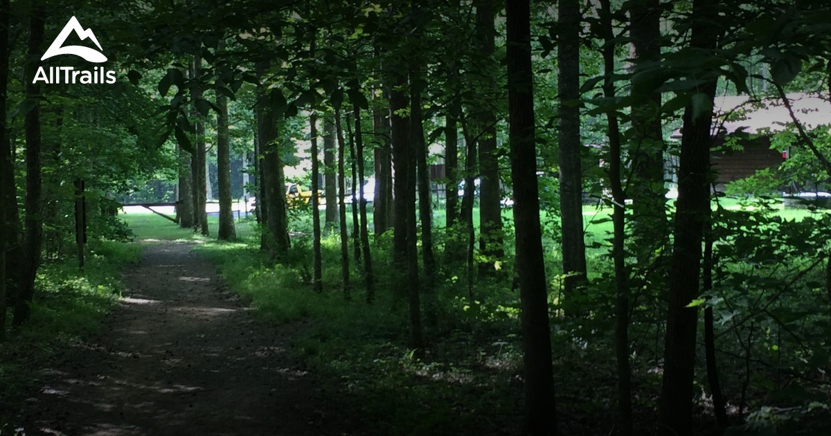 Best Trails in Frozen Head State Park