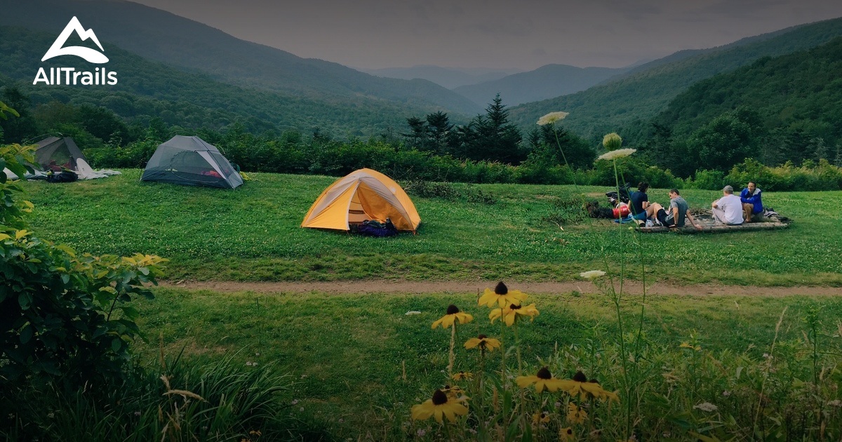 Best Trails in Roan Mountain State Park