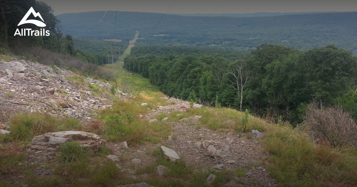 Best hikes and trails in Boyd Big Tree Preserve Conservation Area 