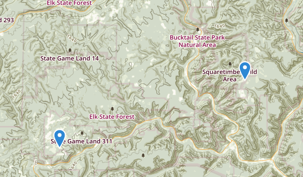 coordinates pa elk cam