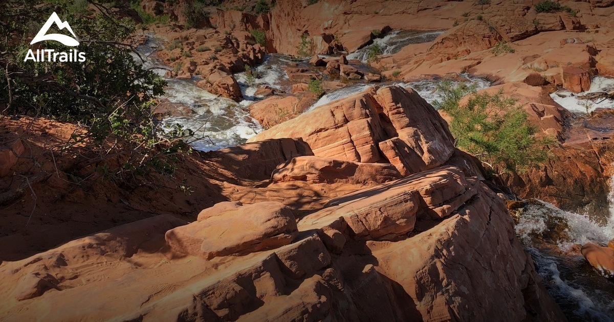 are dogs allowed at gunlock state park