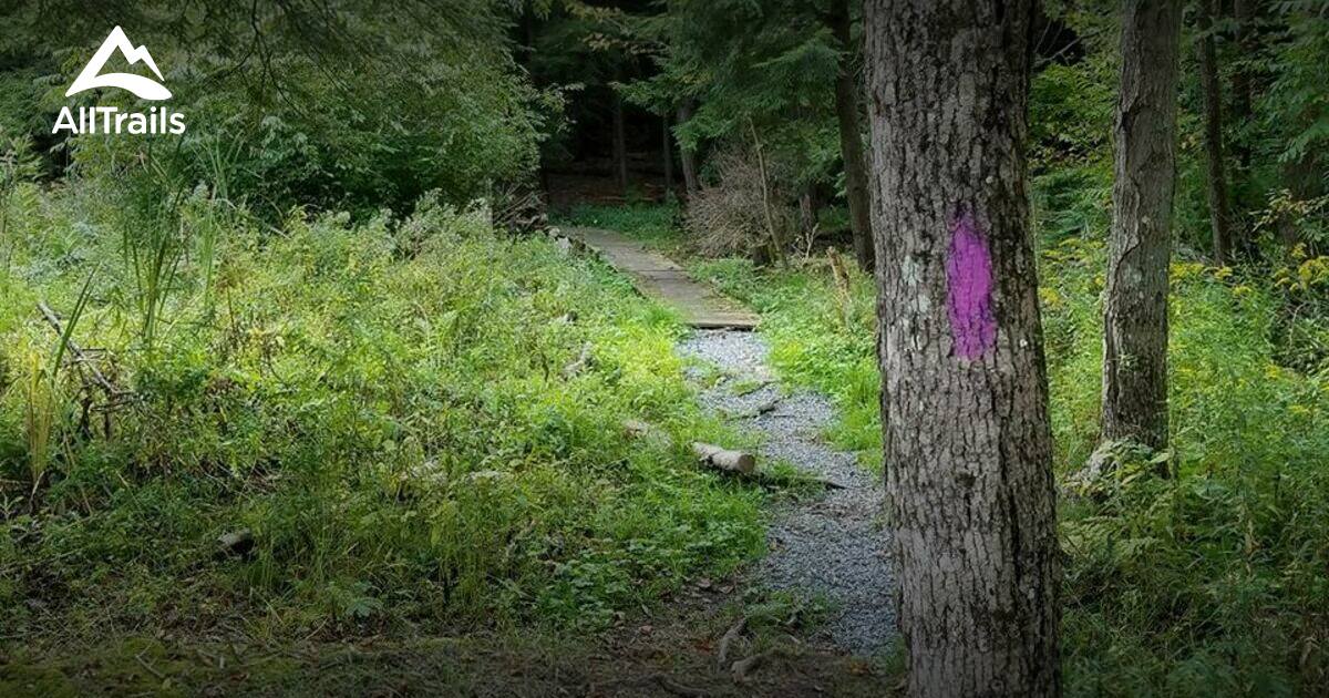Prince Gallitzin State Park Map Best 10 Trails In Prince Gallitzin State Park | Alltrails