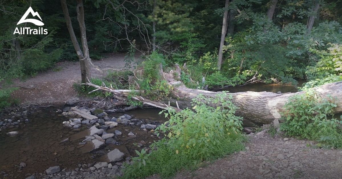 Best Trails in Swatara State Park