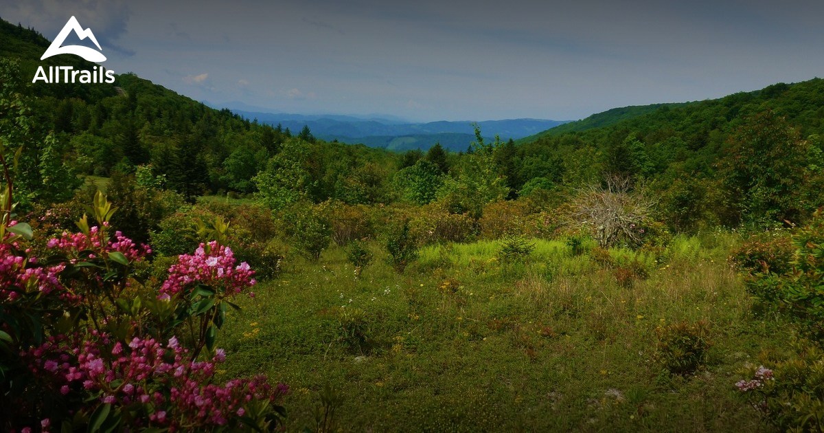 Best Trails in Grayson Highlands State Park Virginia AllTrails