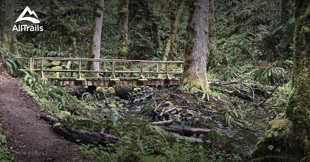 Best Trails In Dosewallips State Park Washington Alltrails