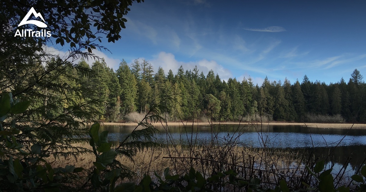 Best Trails In Illahee State Park Washington Alltrails Best Trails In Illahee State Park Washington Alltrails