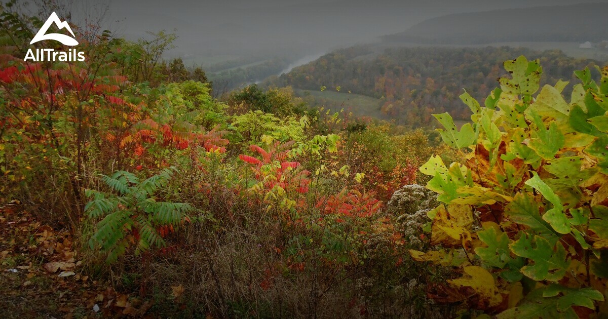 Best Mountain Biking Trails in Cacapon Resort State Park  AllTrails