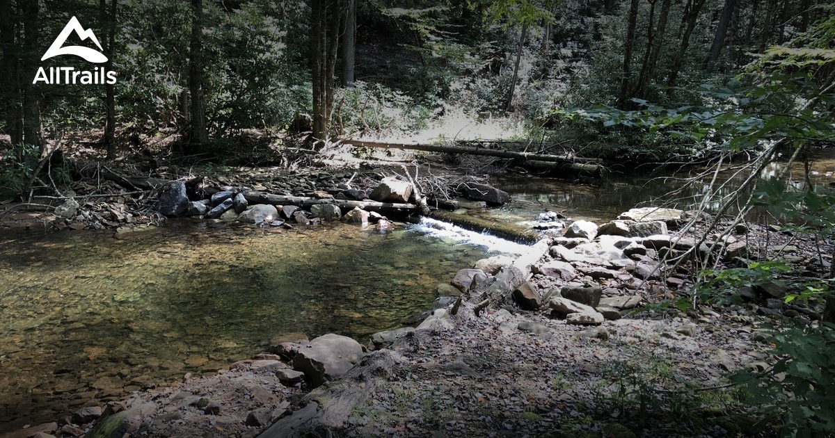 Leave your cares behind at Kumbrabow State Forest