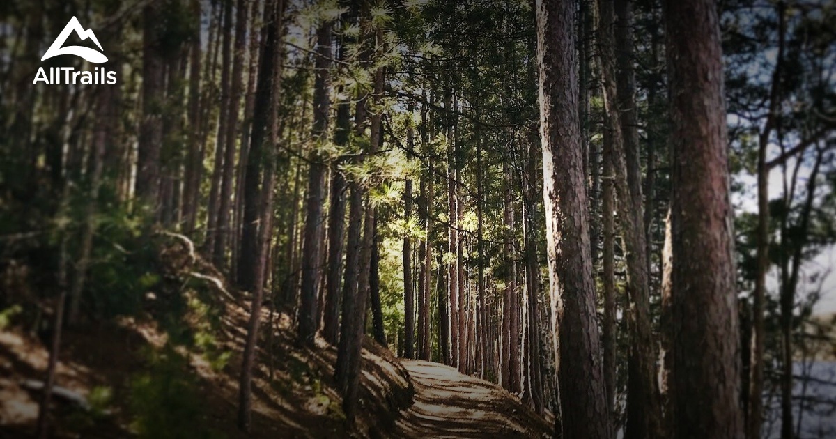 Best Trails in Governor Knowles State Forest | AllTrails