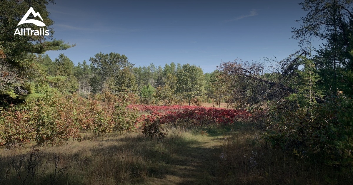 Mill bluff state park hiking sale