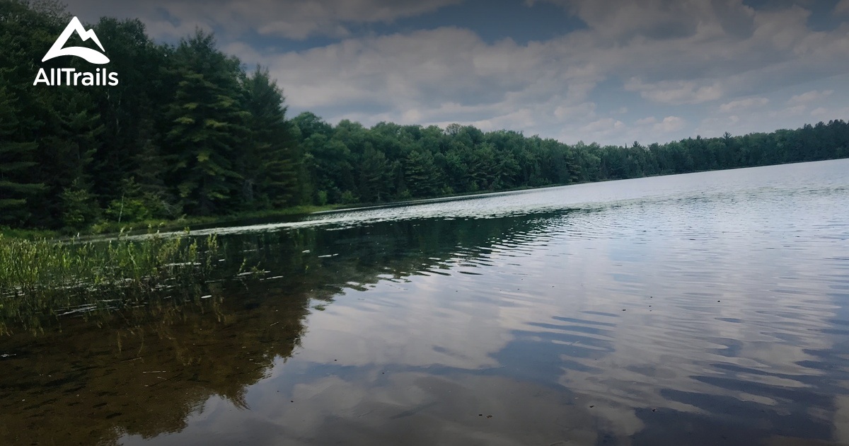 Best Trails in Northern Highland American Legion State Forest