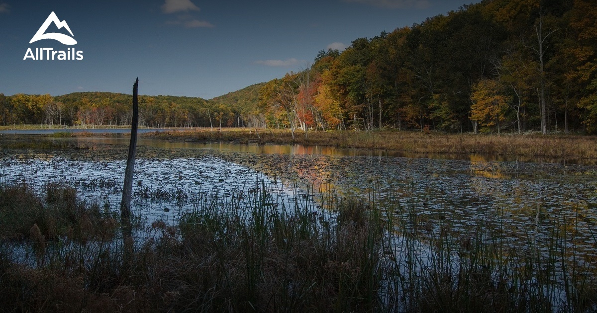 Escape to Serenity: A Guide to Bennett's Pond State Park