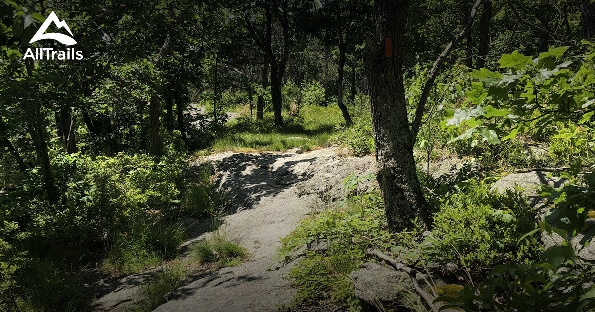 Escape to Serenity: A Guide to George Dudley Seymour State Park