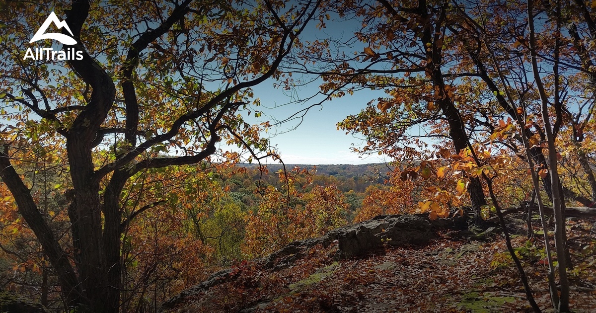 Escape to Serenity: Your Guide to Seth Low Pierrepont State Park Reserve