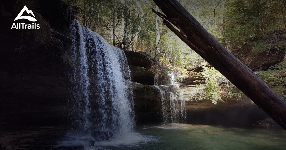 Best Trails In William B Bankhead National Forest - Alabama | 165 ...