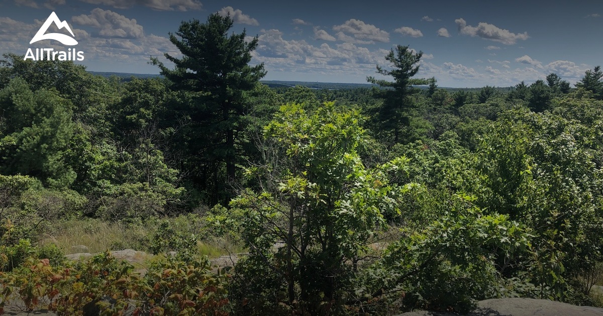 Escape to the Emerald Hills: Your Guide to Exploring Massachusetts' Blue Hills Reservation