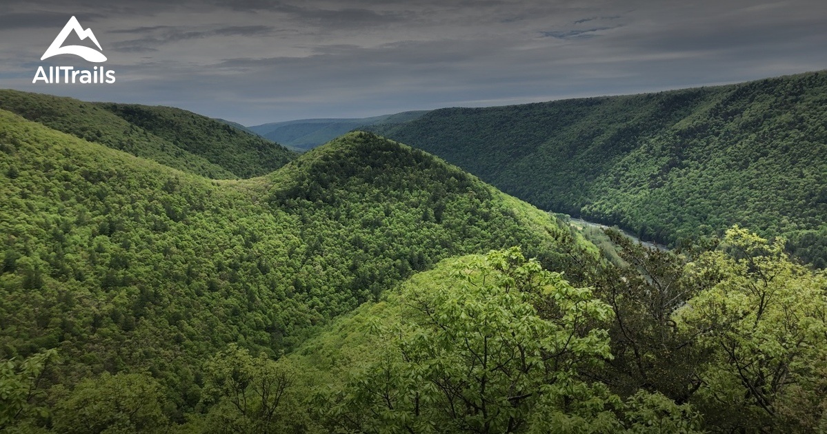 Best Hikes and Trails in Wolf Run Wilderness Area AllTrails