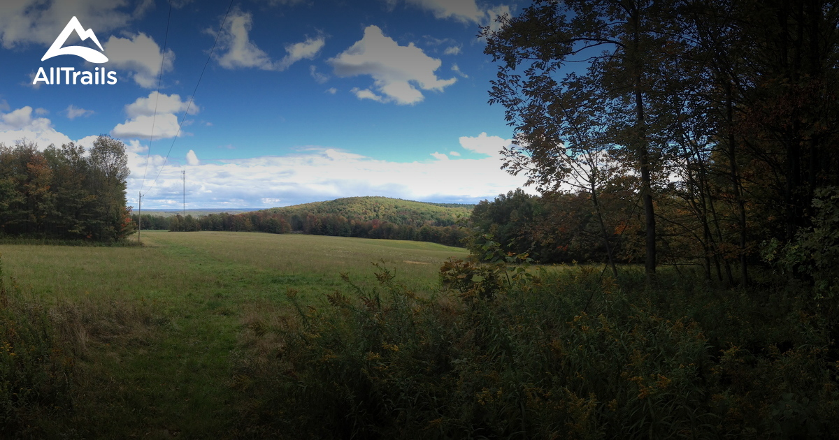 Best Trails in Tuller Hill State Forest New York AllTrails