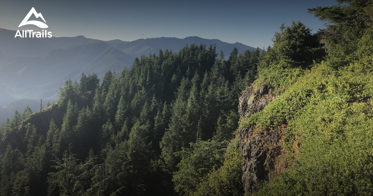 Best hikes tillamook state sale forest