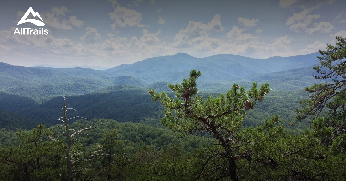 best hikes in pisgah national forest