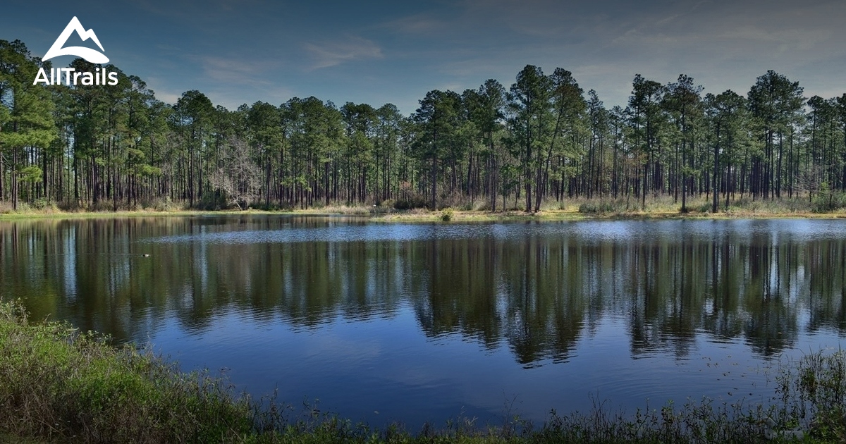Best Trails in De Soto National Forest Mississippi AllTrails