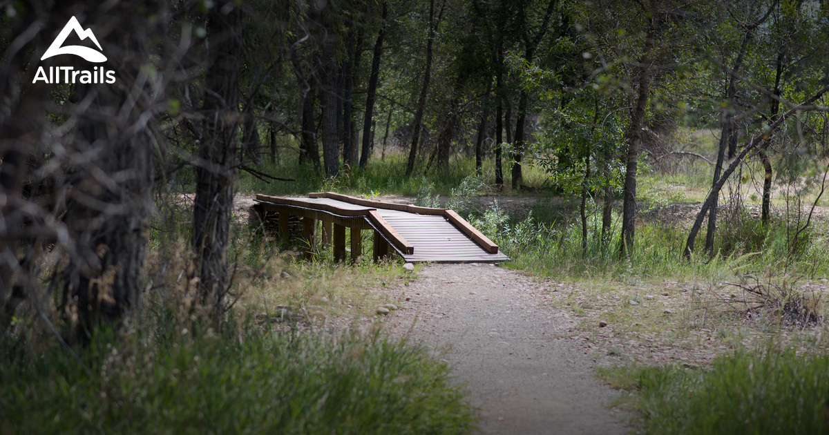 Best Hikes and Trails in Cottonwood Hollow Natural Area AllTrails