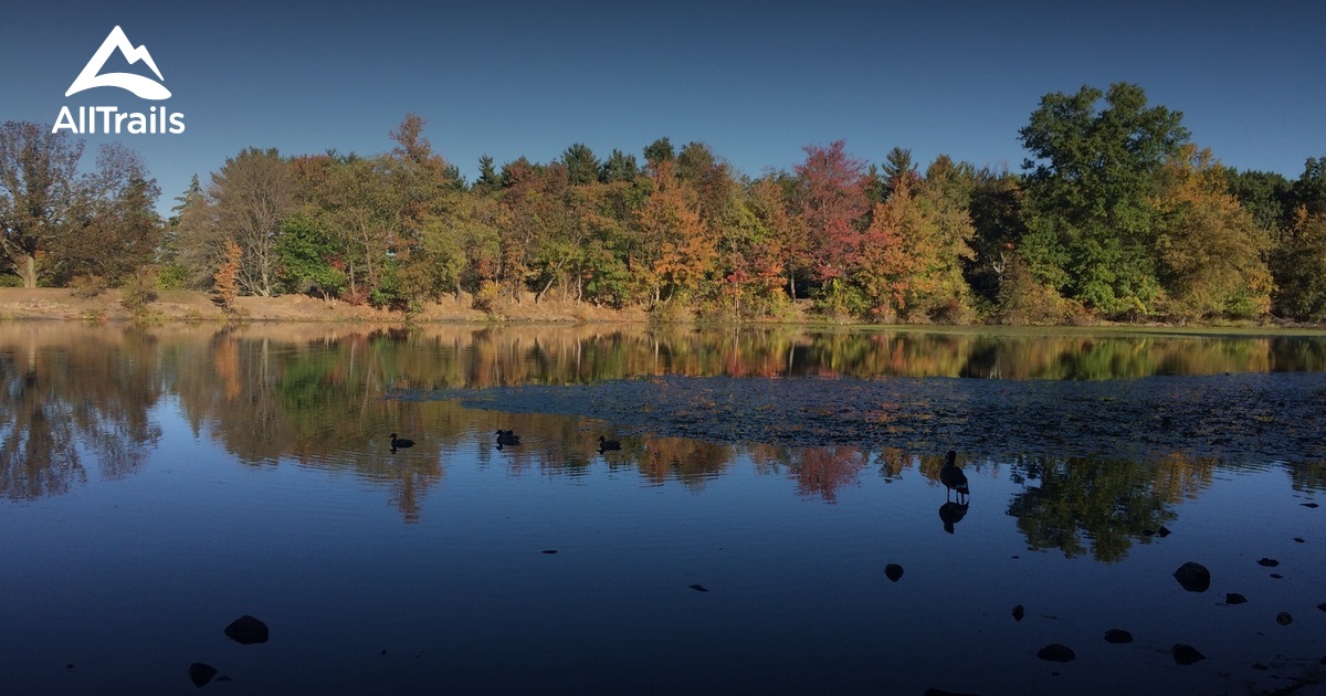 Garrett Mountain Reservation Die besten Routen in 2023 AllTrails