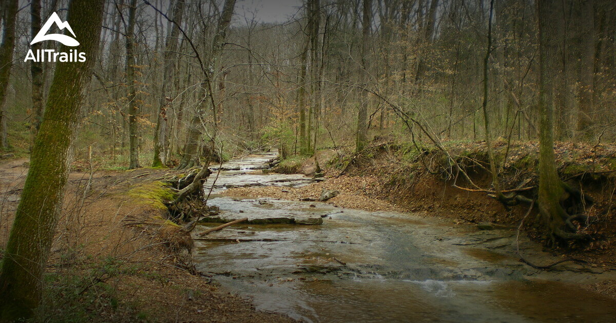 Best Hikes and Trails in Rotary Park AllTrails