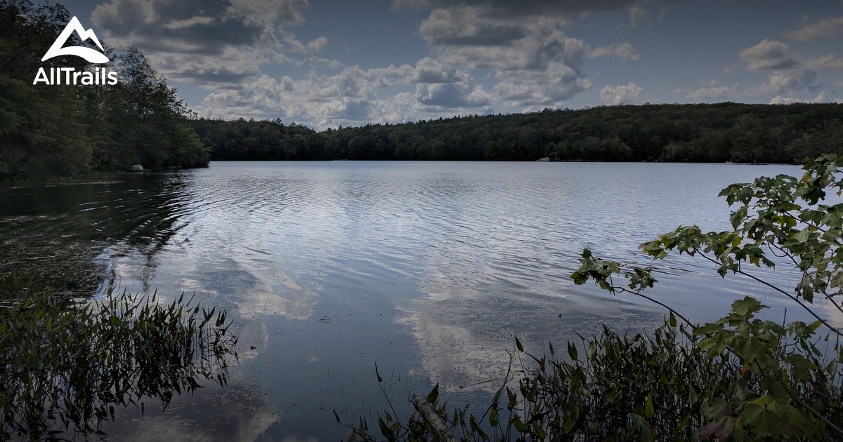 10 Best forest trails in Pachaug State Forest AllTrails