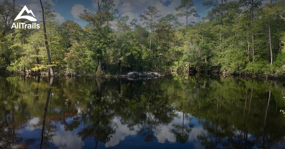 Best Trails in Pine Log State Forest Florida AllTrails