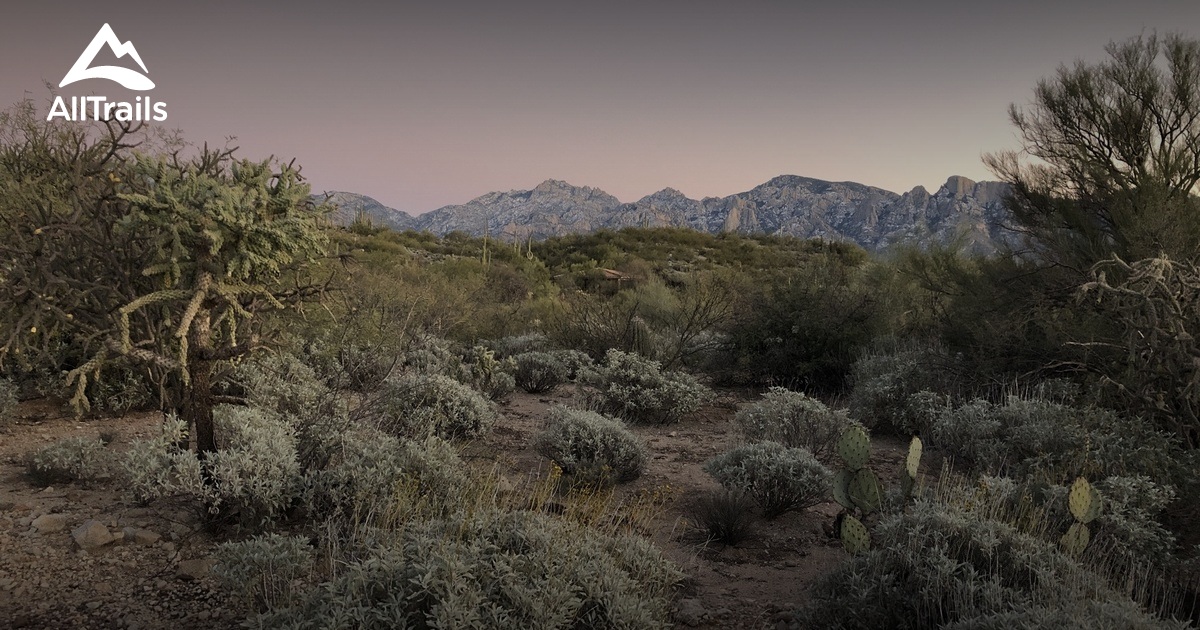 Best hikes and trails in Honey Bee Canyon Park | AllTrails