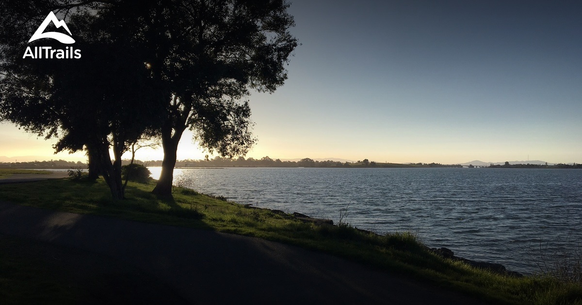 Best Trails in Martin Luther King Jr Regional Shoreline California