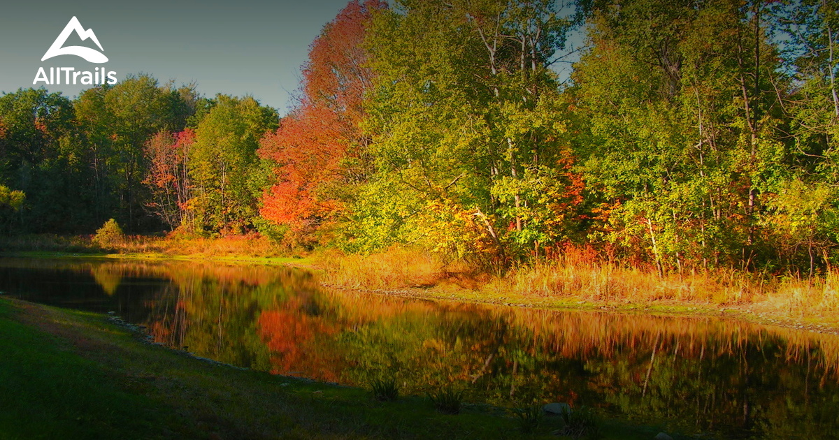 Best Trails in Finger Lakes National Forest New York AllTrails