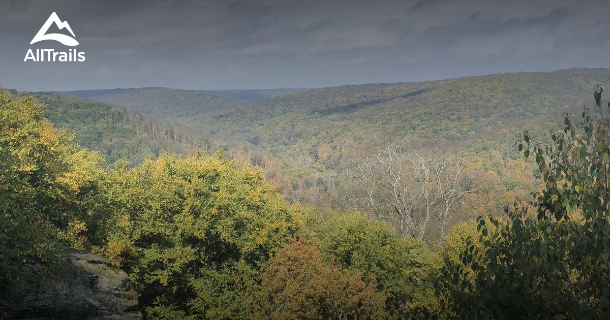 allegheny national forest hiking