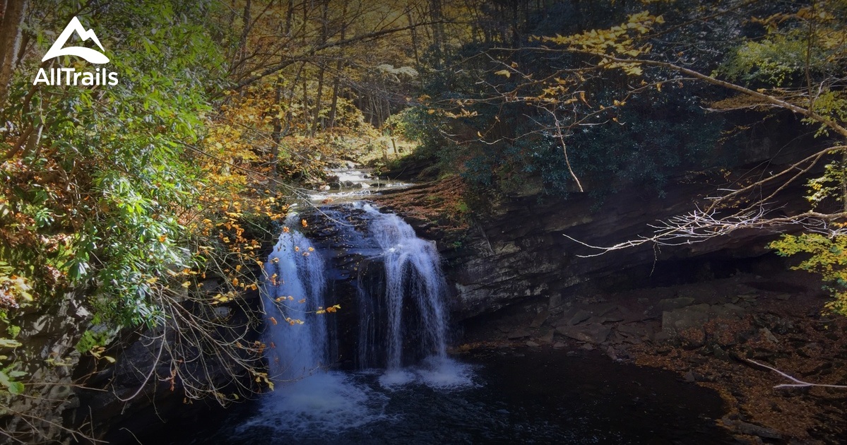 Best Trails in Monongahela National Forest West Virginia AllTrails
