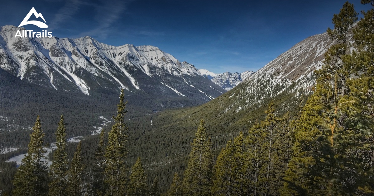 Best Trails in Canmore Nordic Centre Provincial Park Alberta, Canada AllTrails