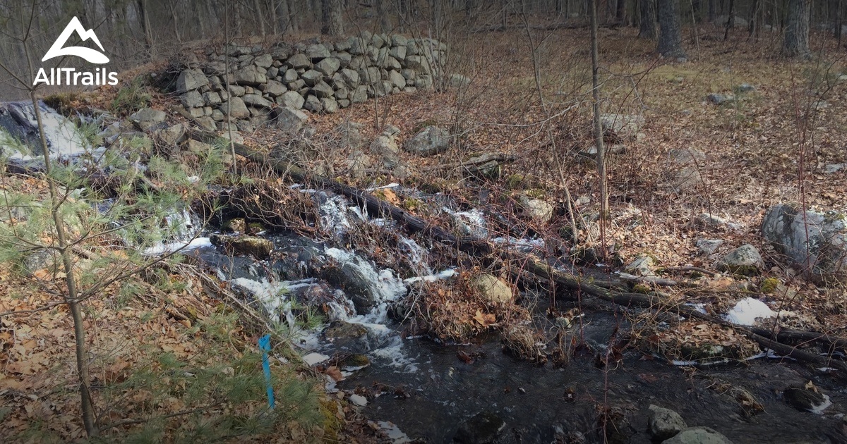 Best Trails in Wrentham State Forest Massachusetts AllTrails