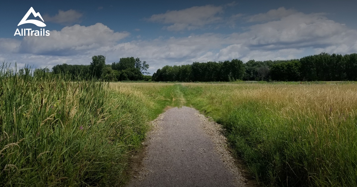 Best Hikes and Trails in McKenzie Park AllTrails