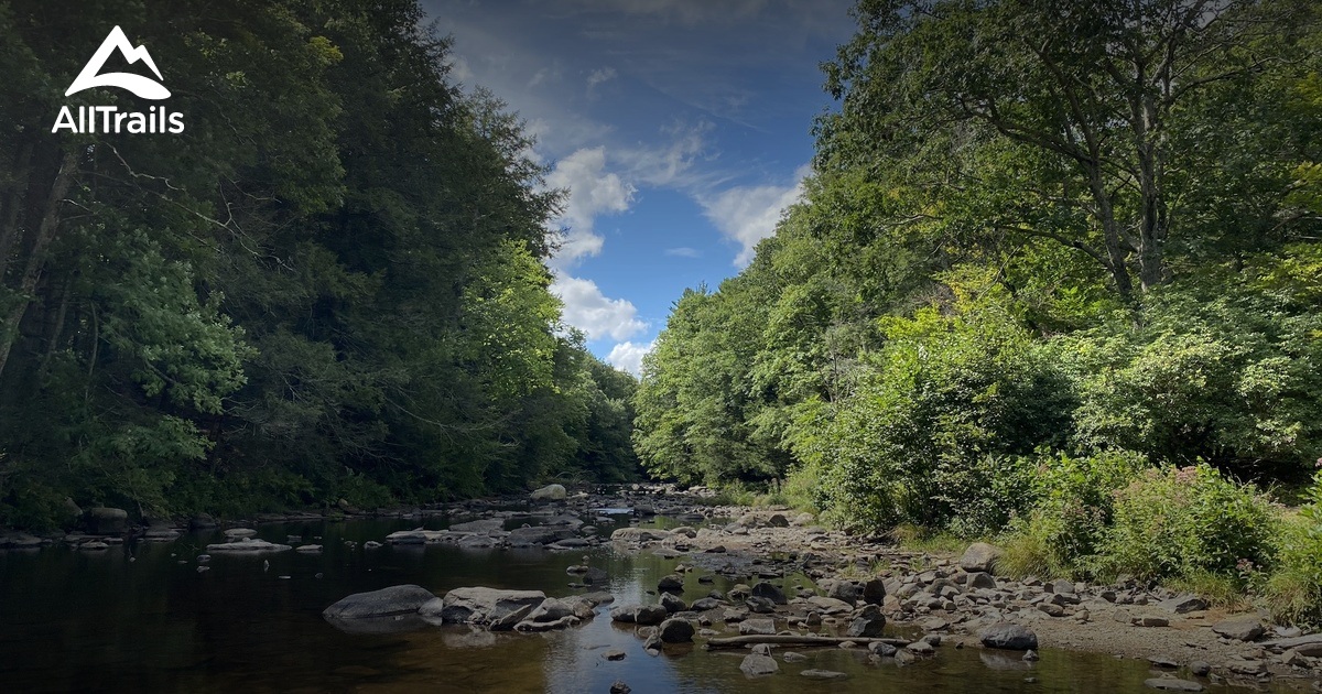 Escape to the Wild: Unveiling the Charms of Connecticut's Natchaug State Forest